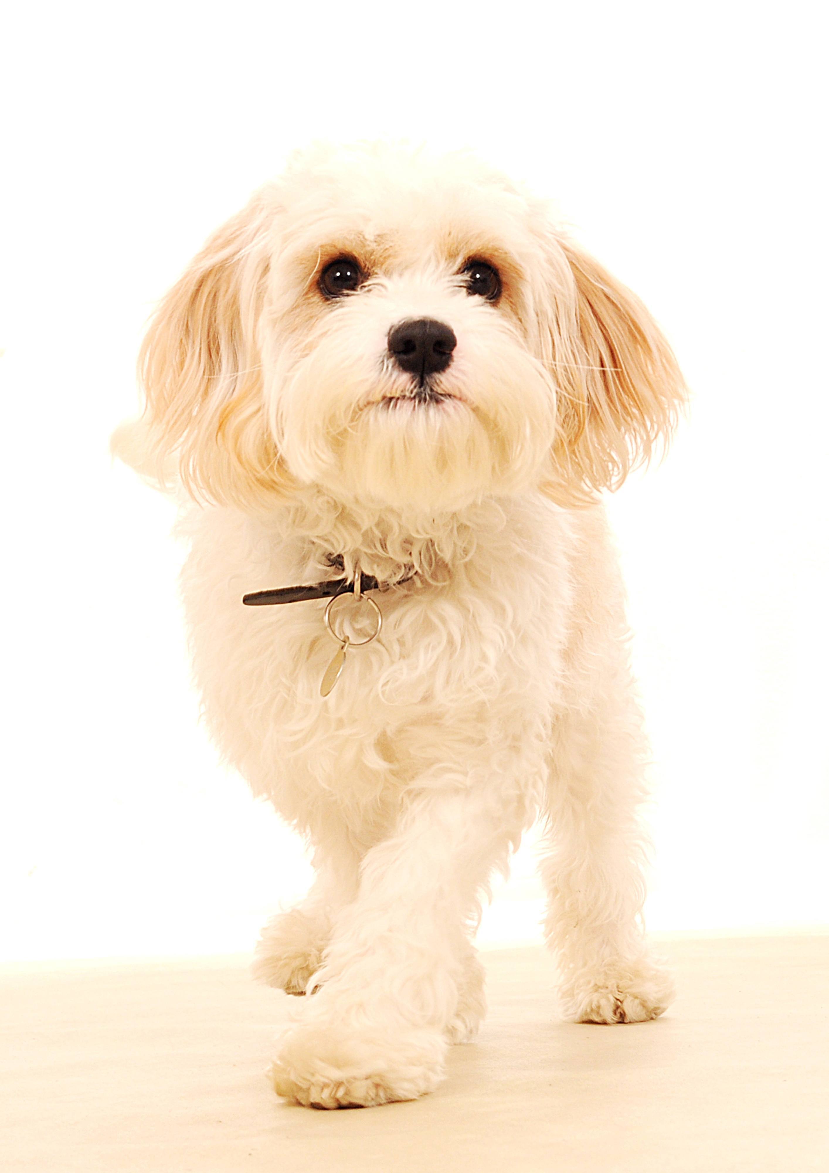 The one and only, Jeff