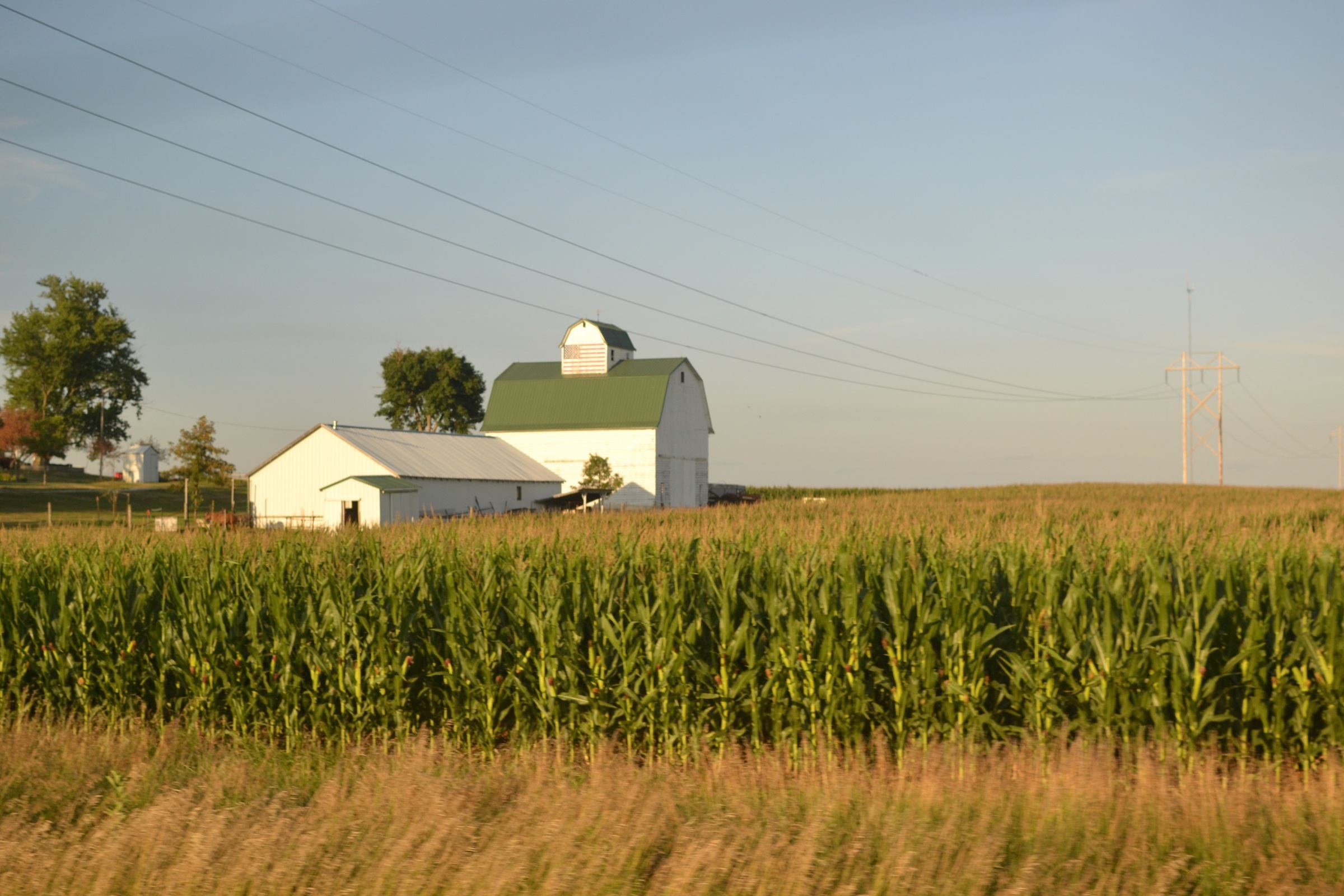 Peaceful evening in Iowa