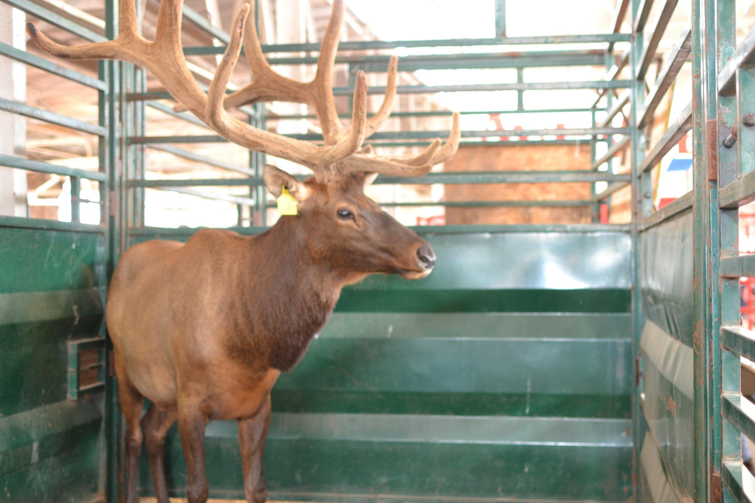 Must have a really stiff neck