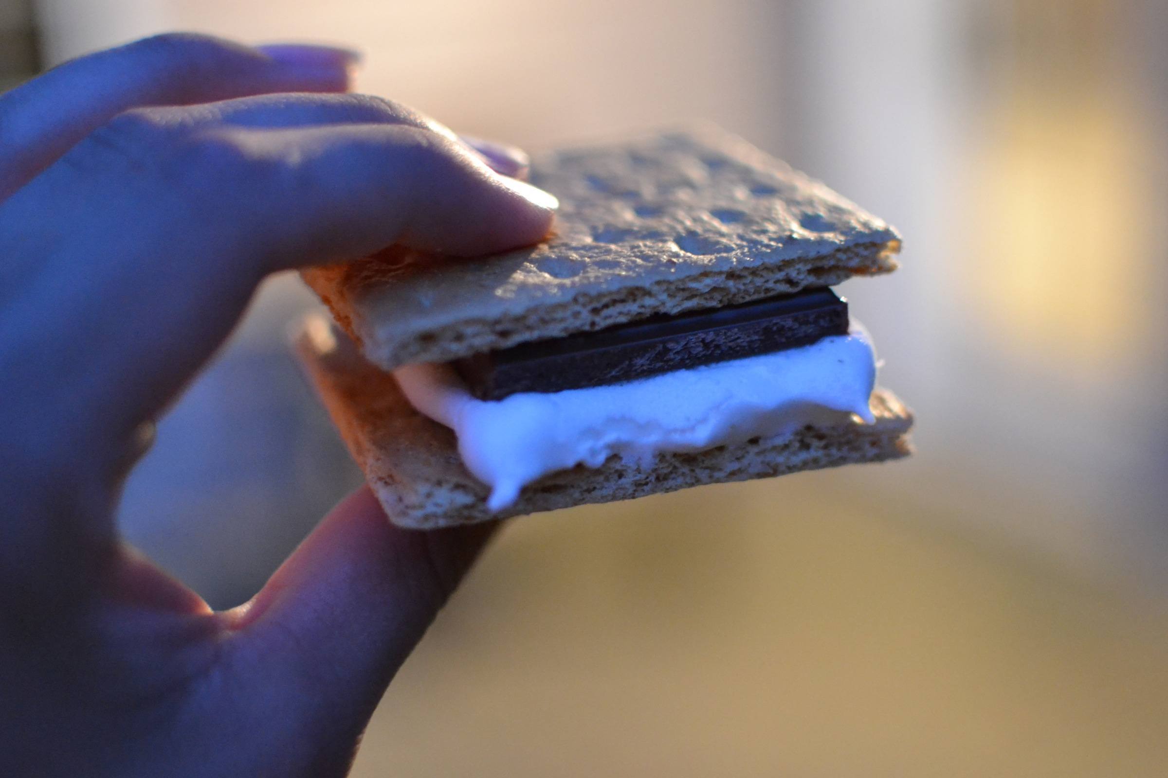 I should be a food photographer...