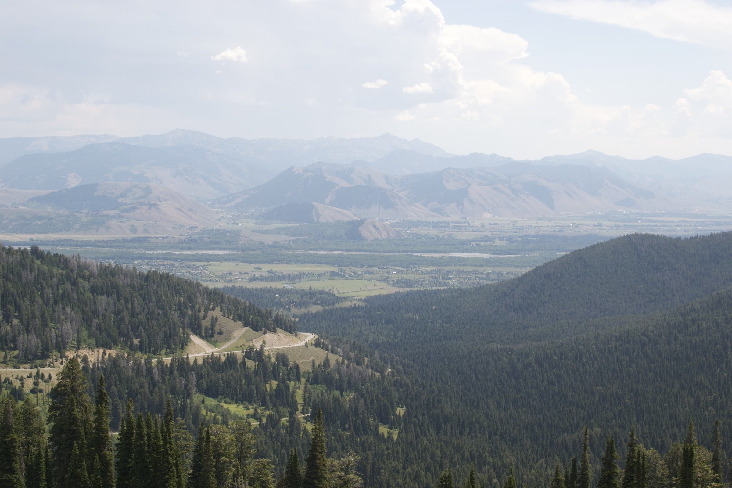 In the runnings for picture of the holiday