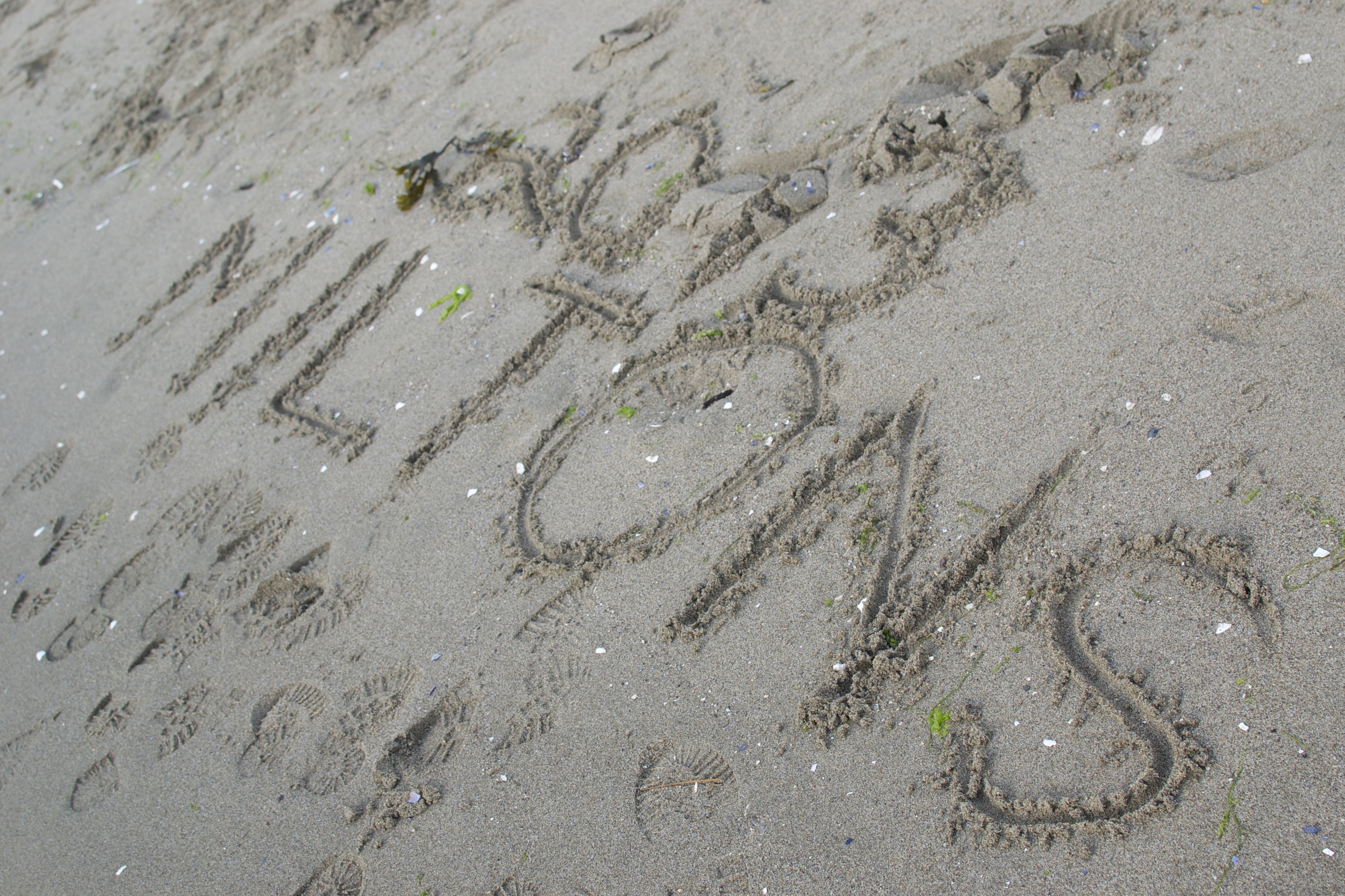 This time we were more successful